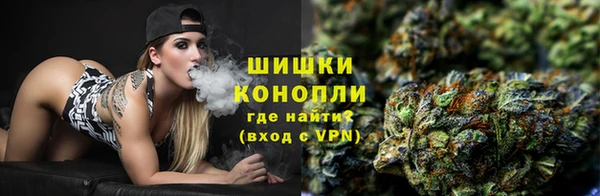 шишки Абаза