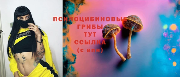 spice Абинск