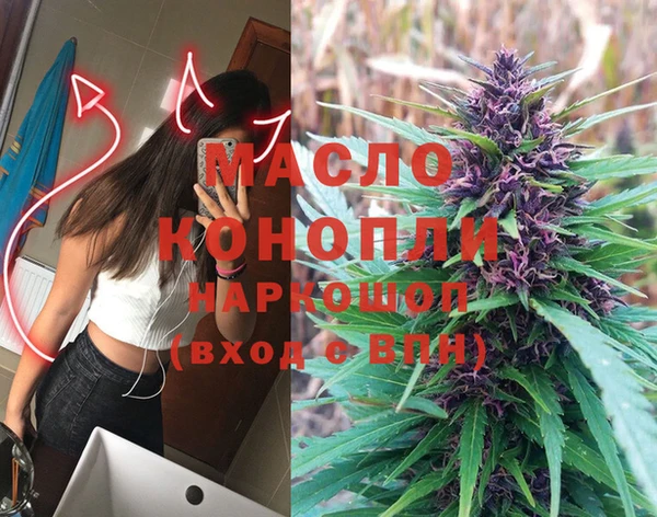 шишки Абаза