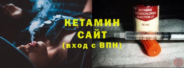 шишки Абаза