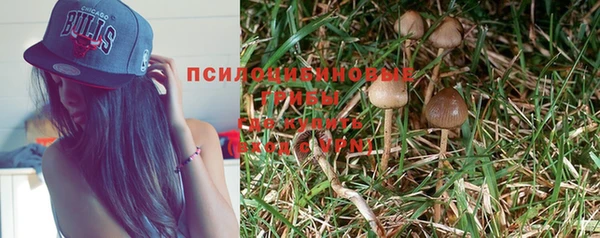 хмурый Абдулино
