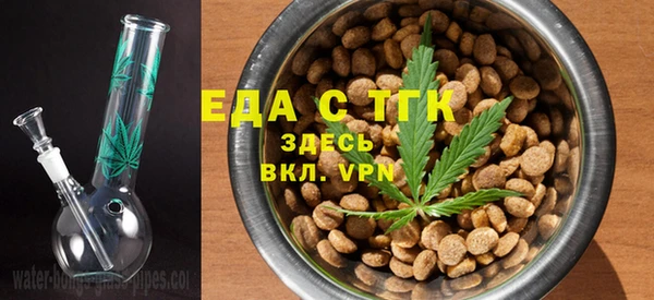 шишки Абаза