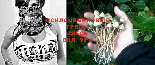 шишки Абаза