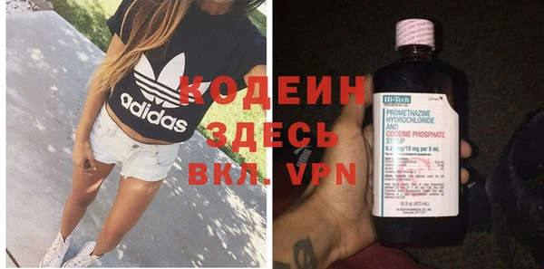 шишки Абаза