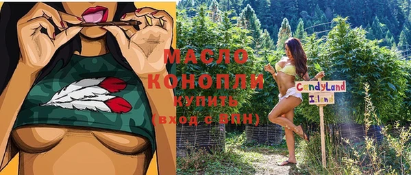 шишки Абаза