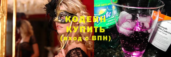 шишки Абаза
