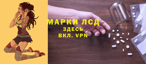 шишки Абаза