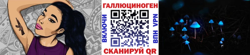 Галлюциногенные грибы Psilocybe  Ялуторовск 