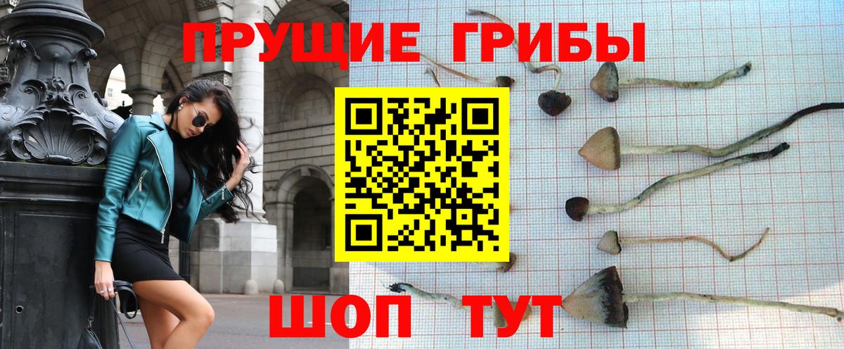 Ялуторовск  Псилоцибиновые грибы Magic Shrooms  закладки  Галлюциногенные грибы мухоморы  Вход с VPN 